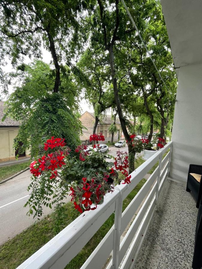 Venera Sombor